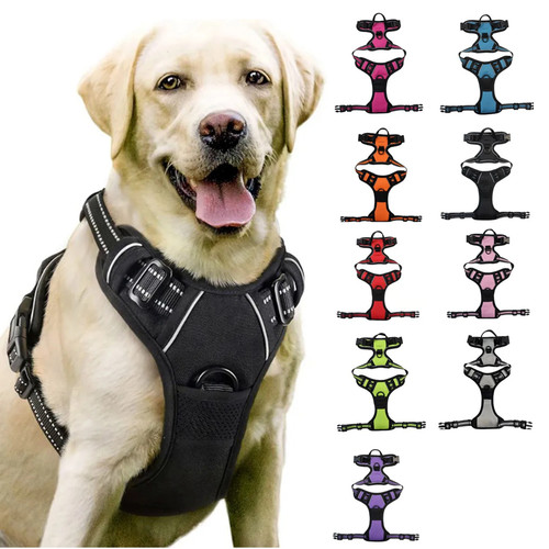 Hundegeschirr