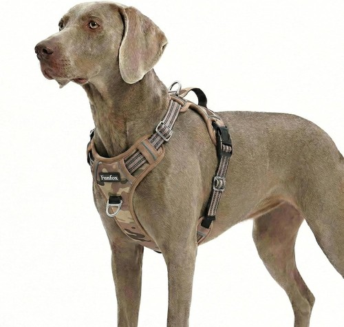 Hundegeschirr für extra - hundegeschirr,