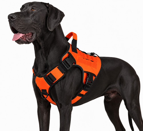Taktisches hundegeschirr mit - taktisches,