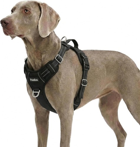Hundegeschirr für extra - hundegeschirr,