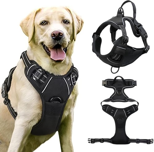 Hundegeschirr ohne zug - ohne,