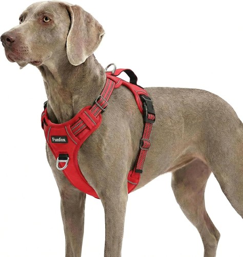 Hundegeschirr für extra - hundegeschirr,