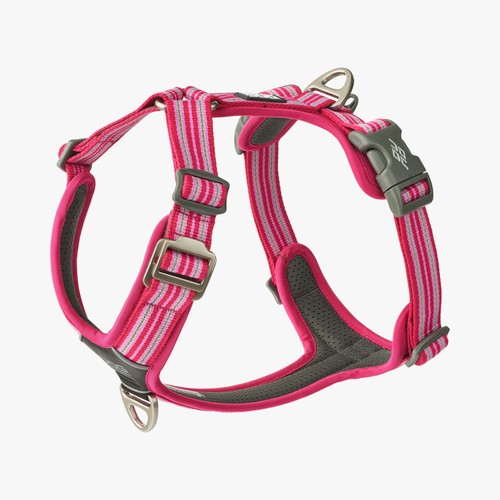 Dog copenhagen comfort - v3,