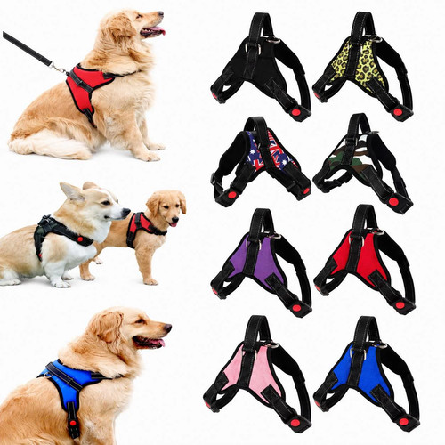 Hundegeschirr gepolstertes - hundegeschirr,