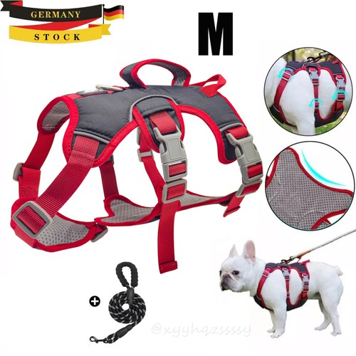 Hundegeschirr brustgeschirr - hundegeschirr,
