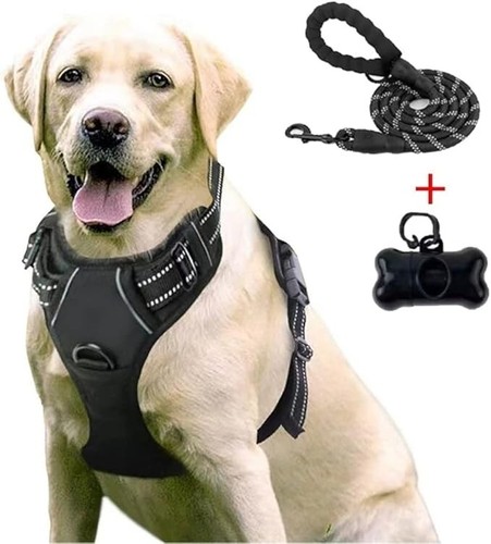 Hundegeschirr set mit - set,