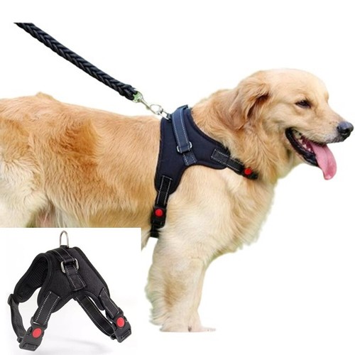 Hundegeschirr brustgeschirr - hundegeschirr,