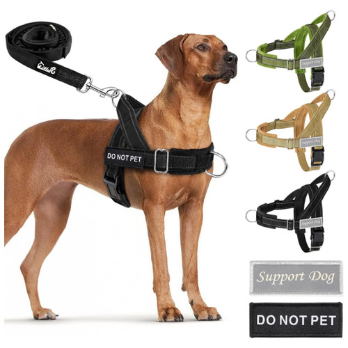 Hundegeschirr leine - hundegeschirr,