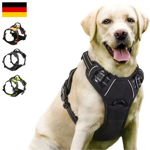 Hundegeschirr