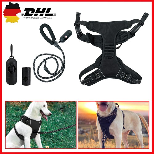 Curli clasp brustgeschirr hund - clasp,