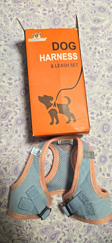 Beautyzoo brustgeschirr set - beautyzoo,