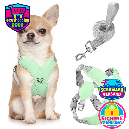 Hundegeschirr set - hundegeschirr,