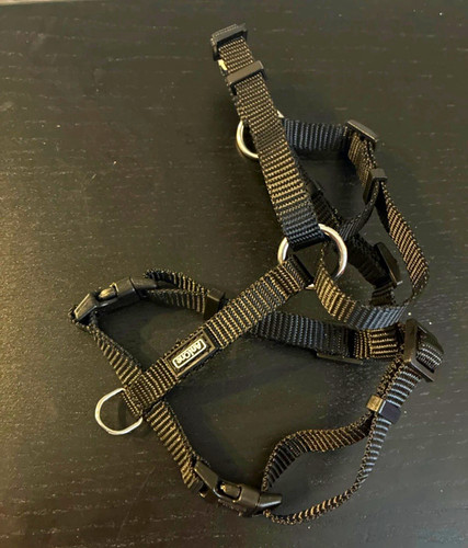 Carlone hundegeschirr - carlone,