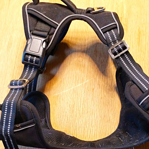 Hundebrüstgeschirr gepolstert