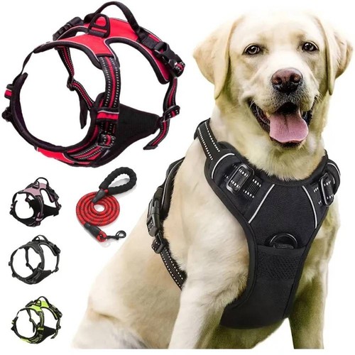 Hundegeschirr
