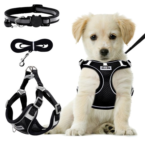 Hundegeschirr kleine hunde - kleine,