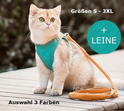 Katzengeschirr hundegeschirr - katzengeschirr,