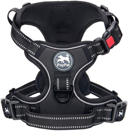 Hunde geschirr pull - geschirr, no