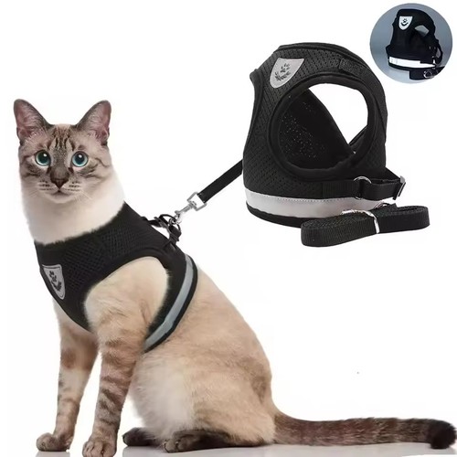 Curli clasp brustgeschirr hund - curli,