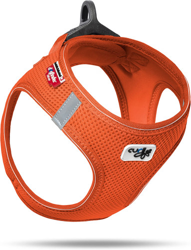 Vest harness ring buckle - vest,