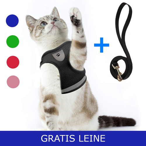 Hundegeschirr katzengeschirr - hundegeschirr,