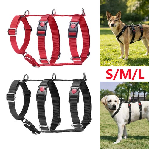 Hundegeschirr