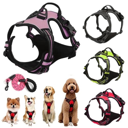 Hundegeschirr - s-xl,