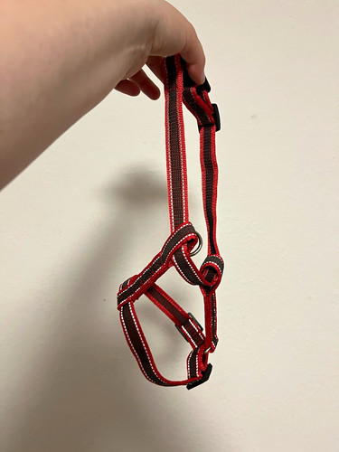 Hundegeschirr brustgeschirr - hundegeschirr,