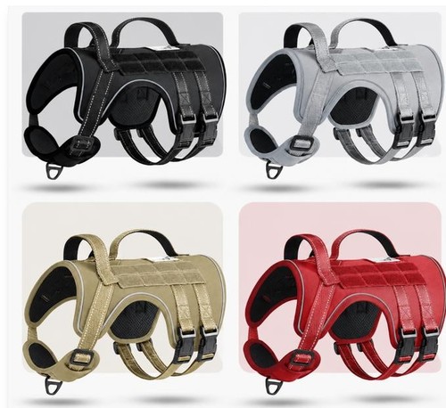 Taktisches hunde - taktisches,
