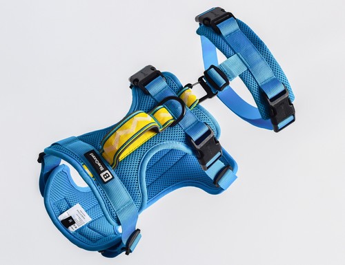 Blueguard sicherheitsgeschirr - blueguard,