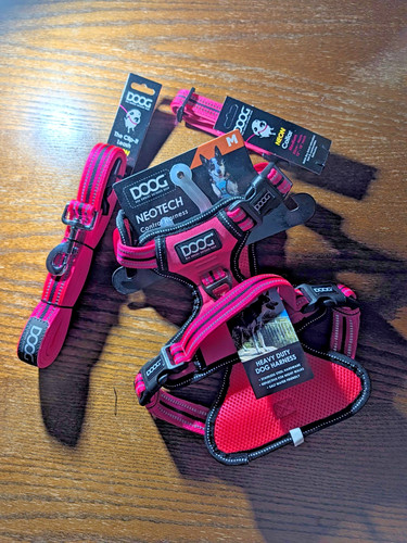 Komplettes set doog neon - set,